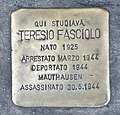 Stolperstein_für_Teresio_Fasciolo