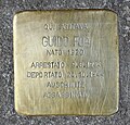 Stolperstein_für_Guido_Foa