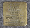 Stolperstein_für_Iolanda_Momigliano