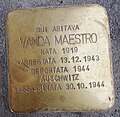 Vanda_maestro_corso_marconi_11